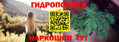 метадон Кимры