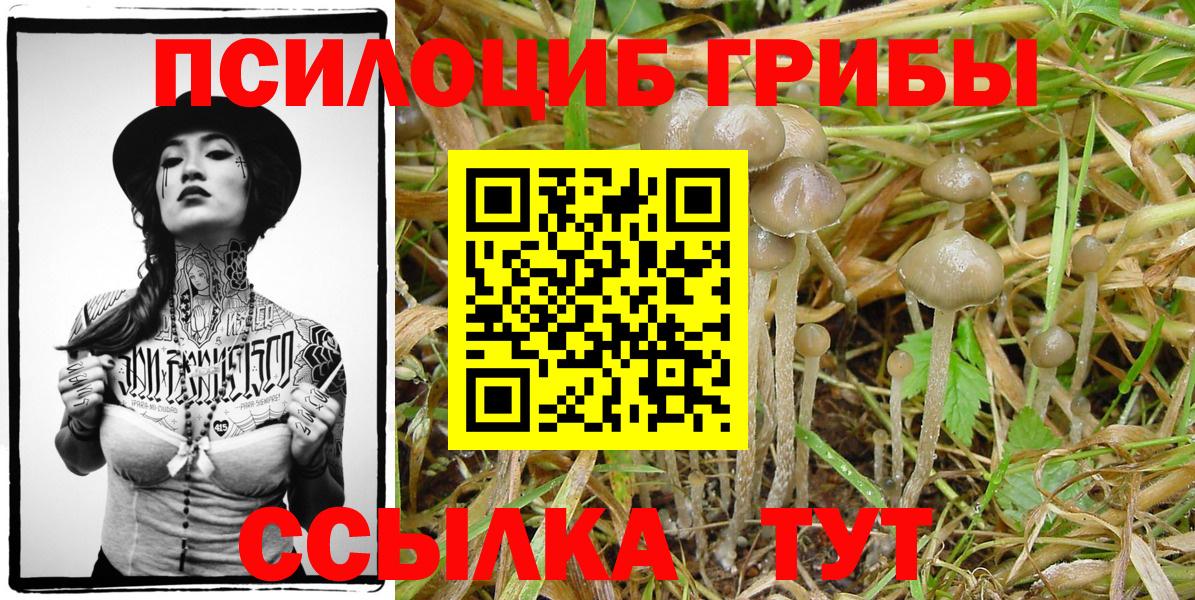 Псилоцибиновые грибы мухоморы  закладки  Краснокаменск  Вход с VPN 